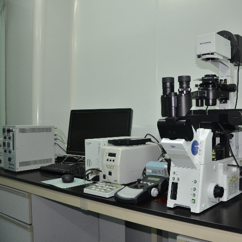 荧光显微镜系统