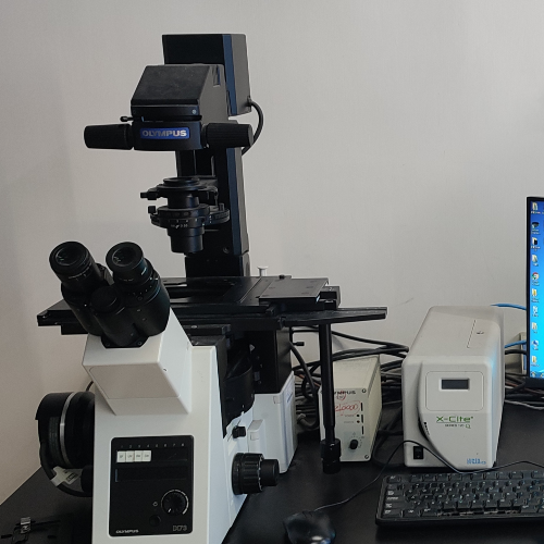 研究型倒置荧光显微镜