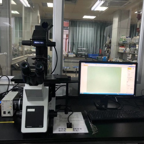倒置荧光显微镜[看备注,工作时间才审核]