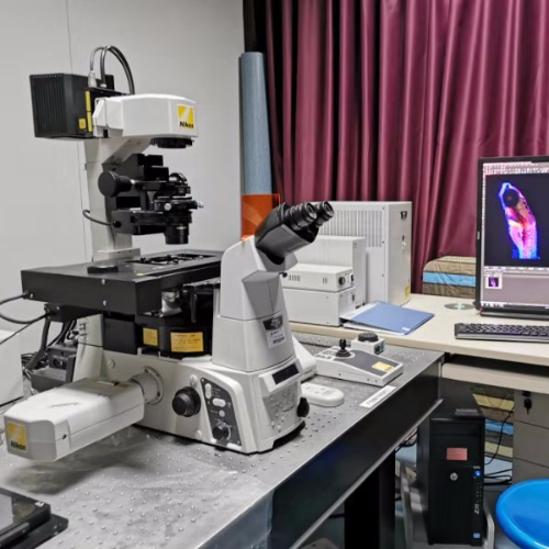 激光共聚焦显微镜C2+