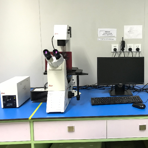 倒置荧光显微镜