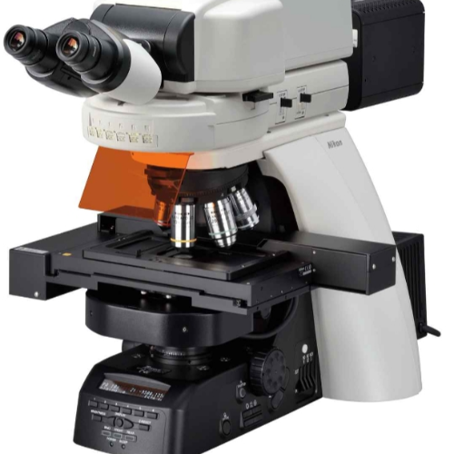 正置荧光显微镜ECLIPSE Ni-E