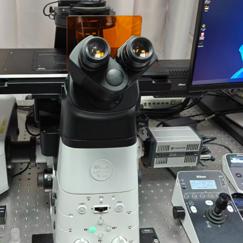 激光共聚焦显微镜系统